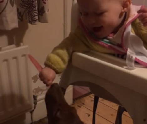 When No One's Watching, Watch What These Two Cuties Like To Do! Just Adorable!