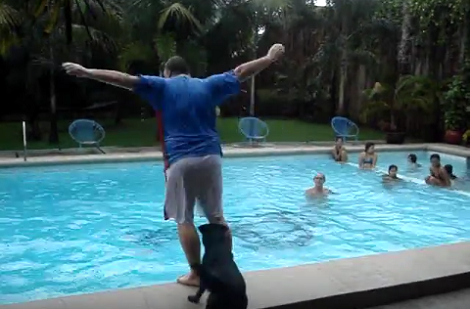 This Adorable Pup Has One Job At The Pool - To Help People Get Inside!