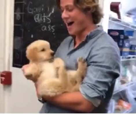 This Adorable Pup Played Flip Cup And Slayed It Like A Boss!
