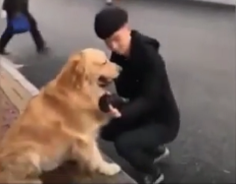 What This Loving Pup Does For His Best Friend When It Rains Will Warm Your Heart!