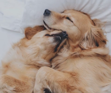 Adorable Sisters Are So Fond Of Snuggling Each Other It'll Warm Your Heart!