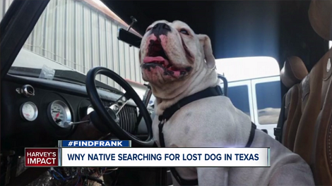 Daddy Left In Tears Reuniting With His Pup After Hurricane Harvey