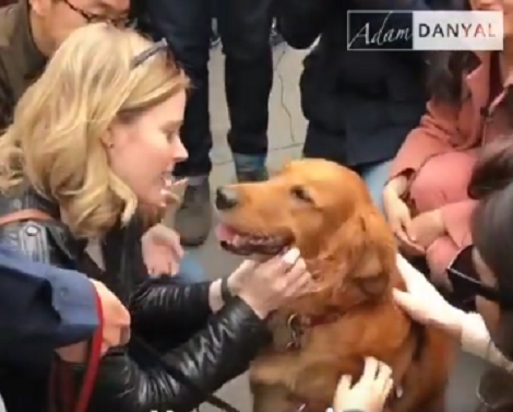 This Adorable Pup Loves Giving Strangers Her Special Warm Hugs!
