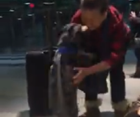 Adorable Pup Can't Contain Herself Seeing Mommy After One Long Month!