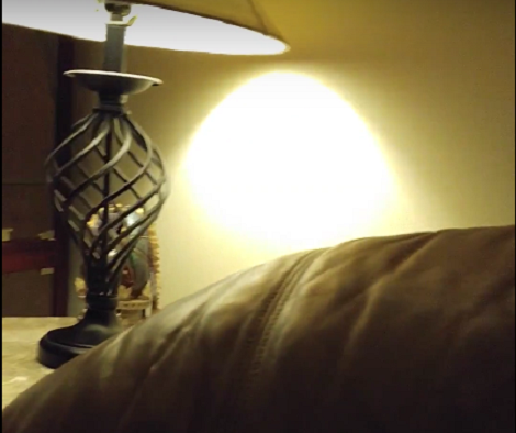 Super Sleepy Pup Wants To Go To Bed, But How She Tells Mommy? OMG!