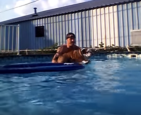 Adorable English Bulldog Goes Into The Pool For The First Time! Reaction? Epic!