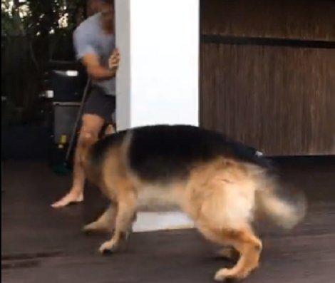 Watch Do Pups Like To Do When They're Outside With Their Dads? Check This Out!