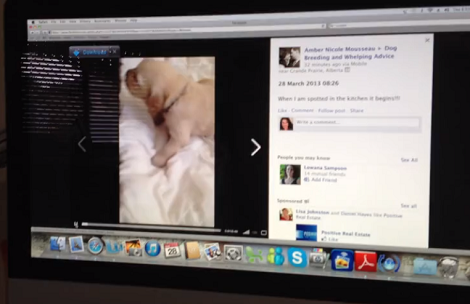 Watch How This Pup Reacts After Seeing A Puppy Cry On The Laptop... Just Heartwarming!
