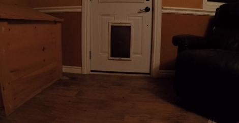 Keep An Eye On This Door Because Your Heart Is About To Melt!