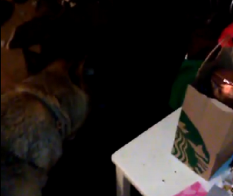 What Happens When You Put A Pup Together With A Gym Water Bottle?!