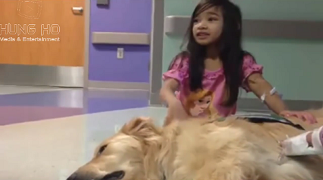 Children Get To Hang Out With Therapy Dogs At Children's Hospital