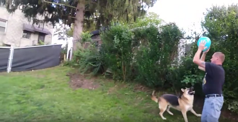 Who Doesn't Love To Play? Take A Look At This Pup And Daddy Playing With A Balloon!