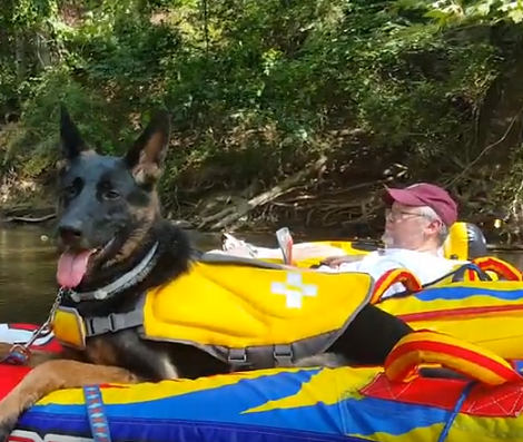 Have You Seen A Pup Tubing Like A Boss? This Is Going To Make You Smile!