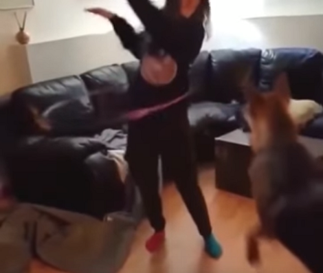 How This Pup Hula Hoops Is Going To Make You Laugh!