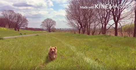 You've Got To See Where This Adorable Pup Is Running To!