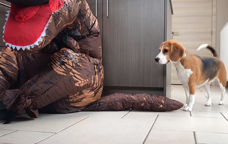 What Happens When An Adorable Pup Meets A Giant T-Rex?! Check This Out!