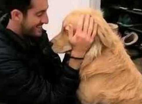 This Adorable Pup Loves His Dad Very Much! Check Out This Precious Moment!