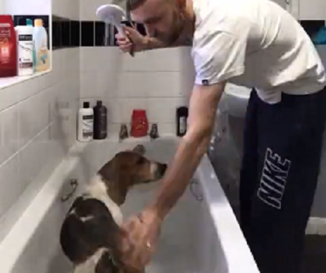 Watch What It's Like To Bath An Excited Pup!