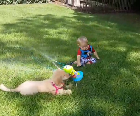 The Amount Of Fun These Two Are Having With The Sprinkler Is Just Too Cute To Miss!