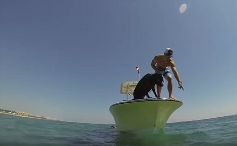 How This Pup Catches Lobsters Is Going To Definitely Drop Your Jaw!