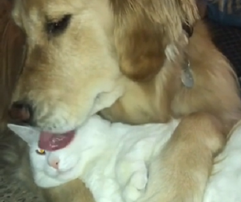 The Loving Bond These Two Siblings Share Will Definitely Blow Your Mind!