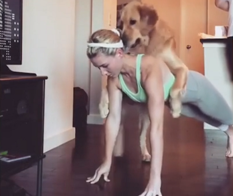 Watch What This Pup Does When His Mommy Tries To Exercise!