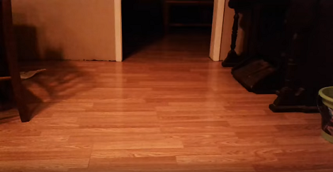 Wait Till You See Who Pops Out Of This Door! She's One Fast Pup!