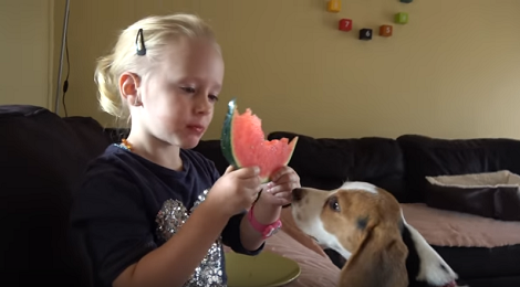 Watch How This Pup Reacts To Eating Watermelon For The First Time!