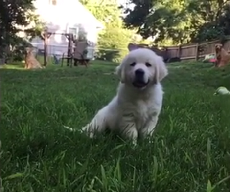 This Video Is Definitely Going To Melt Your Heart Right Out!