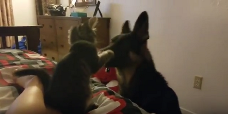 This Unlikely Friendship Is Definitely Going To Blow Your Mind, Trust Me!