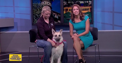 This Adorable Pup Is Looking For Her Forever Loving Home - Let's Help Her!