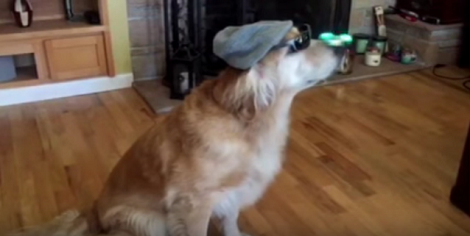 If There's One Pup Who Can Spin A Fidget Spinner On The Nose... It's Him!
