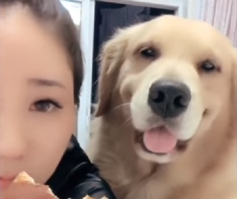 Wait Till You See Why This Adorable Pup Is Smiling! You'll Love This!