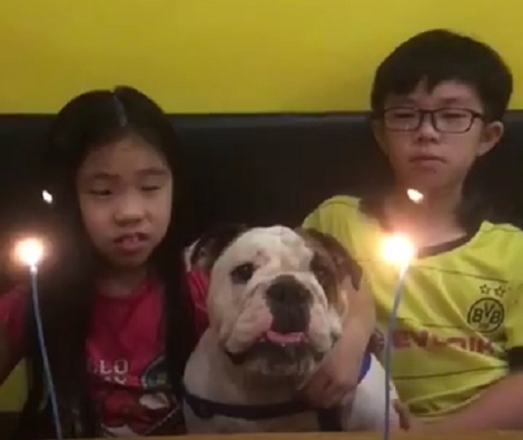 This Adorable Pup Is Celebrating Her 1st Birthday, And You're Invited, Too!
