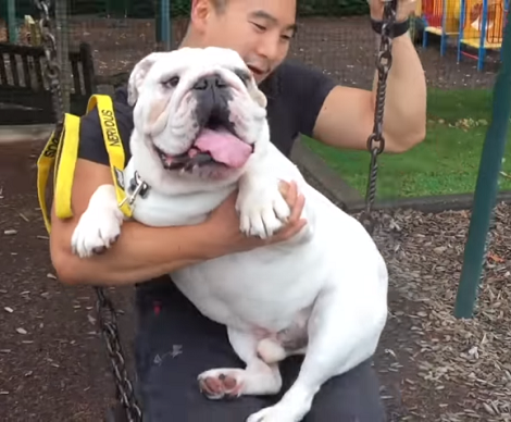 Wait Till You See How This Adorable Pup Is Enjoying His Morning Today!