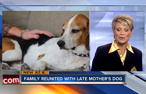 Loving Pup Returns Home To His Family In Winter Haven After Eight Long Years