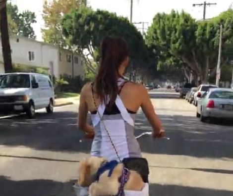 I Thought She Was Riding With A Teddy Bear, But When I Took A Closer Look? OMG.