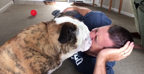 The Love This Pup Has For His Daddy Will Definitely Warm Your Heart!