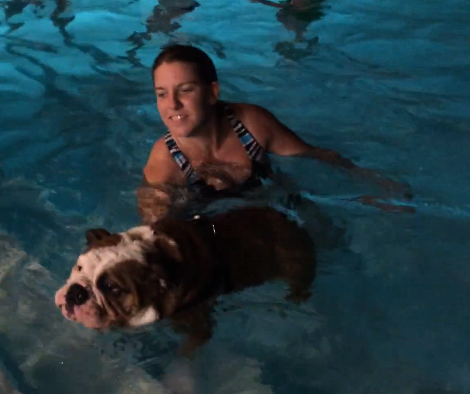 Adorable English Bulldog Swims For The First Time and Nails It!