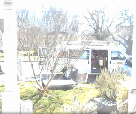 When These Dachshund Pups Saw The Plumbers...OMG!
