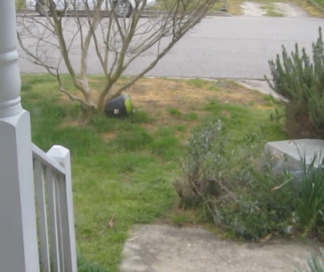This Bucket Flew Into Their Yard, Now Watch The Dachshund Pups!