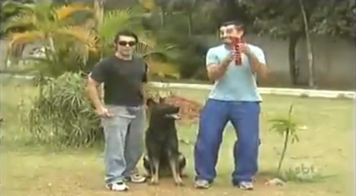 Hilarious German Shepherd Pup Pranks A Man With A Dynamite!