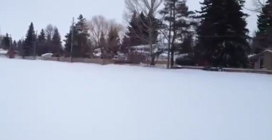 Can You Spot A German Shepherd? No Because He's Playing Fetch!