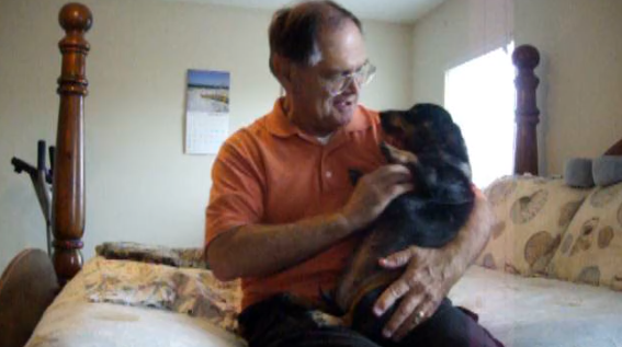 Dachshund Pup Needs Some Belly Rubs, But When Daddy Stops, She Does THIS!