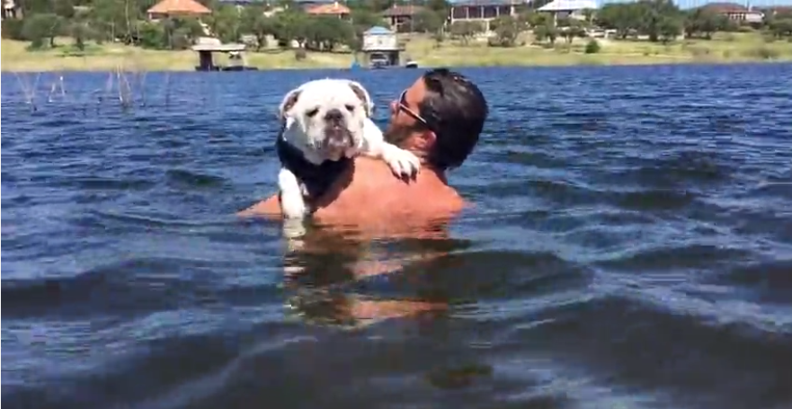 Buddha The Adorable English Bulldog Shows Off His Swimming Talent!