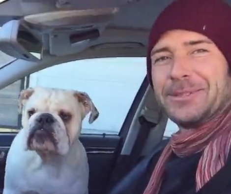 Mighty English Bulldog Joins Daddy For A Neighborhood Watch!