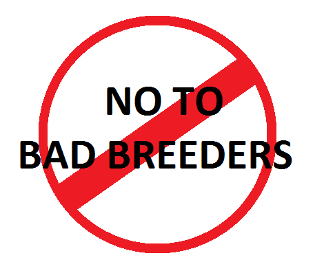 How To Spot A Bad Breeder? Here Are Some Warning Signs To Look Out For