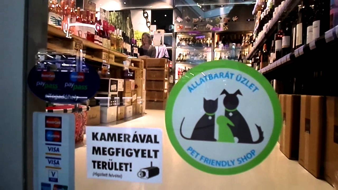 Adorable Beagle Pup Has An Awesome Time Window Shopping At A Mall!