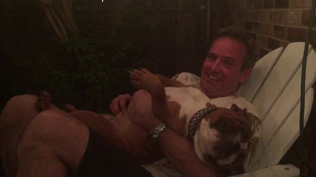 Adorable English Bulldog Gets Some Extra Loving From Her Human! #BulldogLove