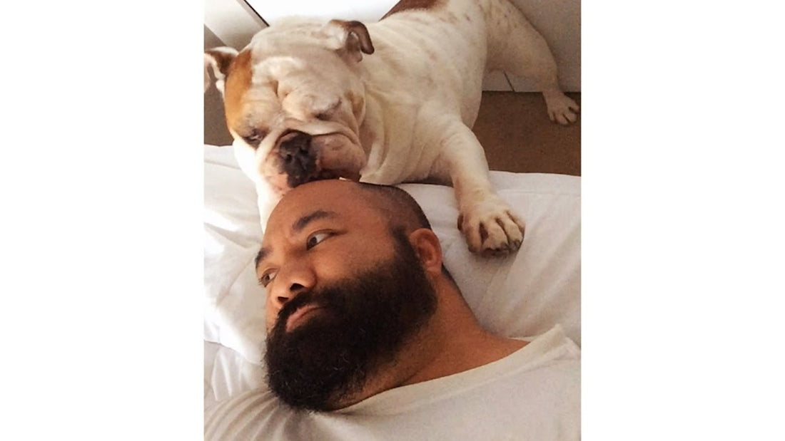 Adorable English Bulldog Can't Stop LICKING Dad's Head While He's Reading!